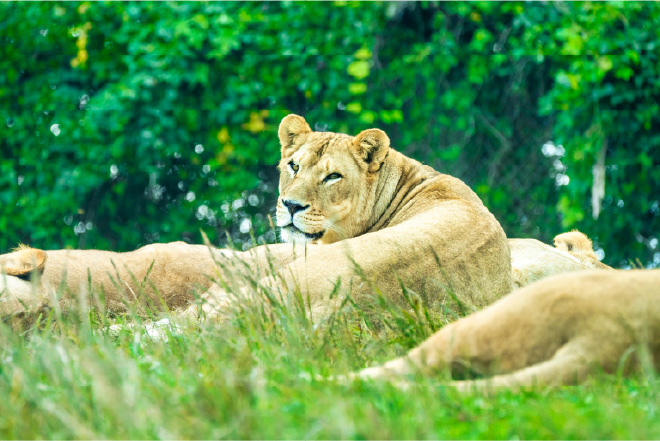 東北サファリパーク